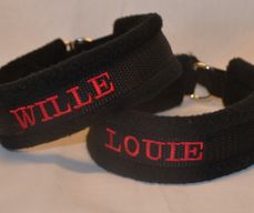 Wille-Louie